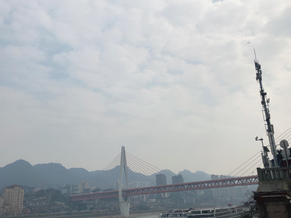 EllisKohler (@ellis_kohler) on Twitter photo 