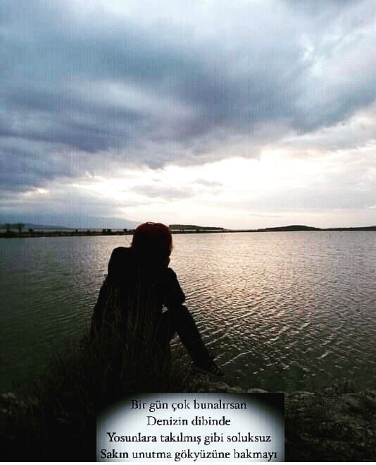 💛💙 HLY⭐⭐⭐⭐⭐ tweet media