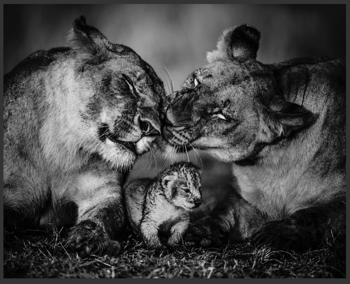 laurentbaheux's tweet photo. "Il n'y a pour l'homme que trois événements : naître, vivre et mourir. Il ne se sent pas naître, il souffre à mourir, et il oublie de vivre. » Jean de La Bruyère
N’oubliez jamais de vivre.
Belle semaine à tous #MondayMotivation https://t.co/TqjsQBhvhX