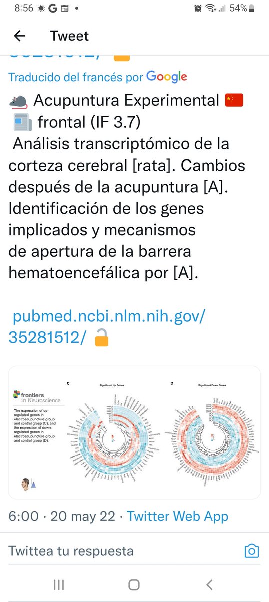 Dra. Teresa Pascual (@dratpascual) on Twitter photo 