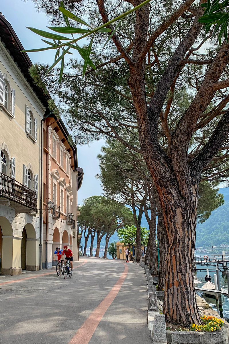 commafactory's tweet photo. Vor dem Wetterwechsel gestern nochmals kurz um den Lago di Lugano gefahren. Schön (warm) war’s 🥰🚴🏼♂️⛰☀️
Informationen zur Tour auf Strava:
https://t.co/xRO1x3PLC6
#roadbike #ErlkönigOnTour #cyclinglife #SwitchbackSunday #mehrmachenanstattnurwollen https://t.co/K7Yn9I5GzW