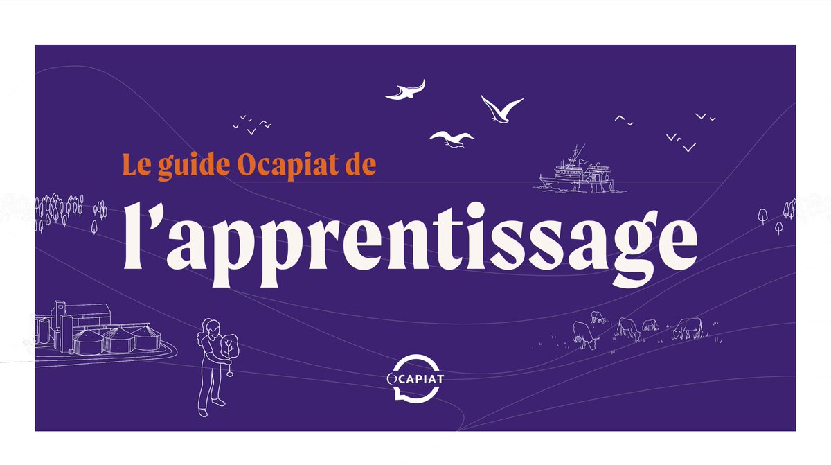 ocapiat's tweet photo. GUIDE #OCAPIAT de l'#apprentissage pour vous aider à recruter un apprenti 👍 L’apprentissage tout le monde y gagne ! #recruter1apprenti
➡️ https://t.co/yRSbYcqAAm
➡️ https://t.co/vsS4Fulxi0
#capverslalternance #agriculture #agroalimentaire #opco #peche #FrAgTw
@lacoopagricole https://t.co/SmnqkWGetE