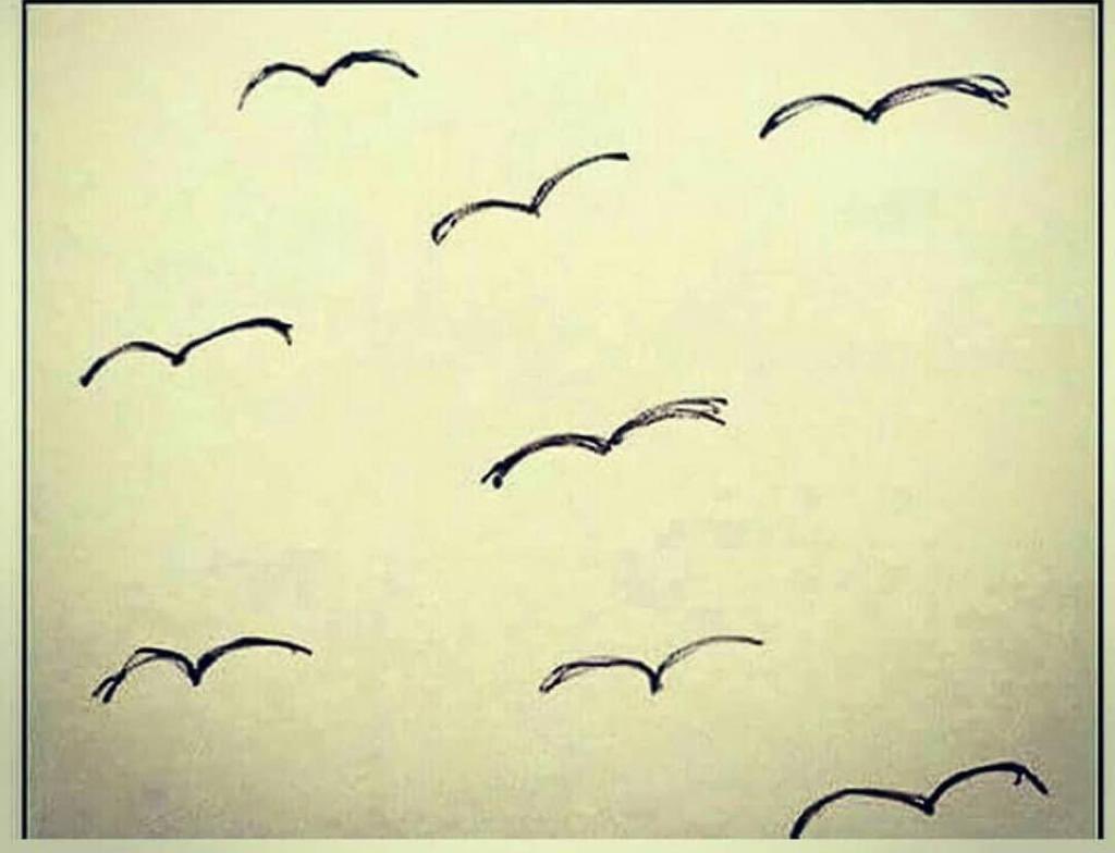 How To Draw A Bird Flying In The Sky Step By Step