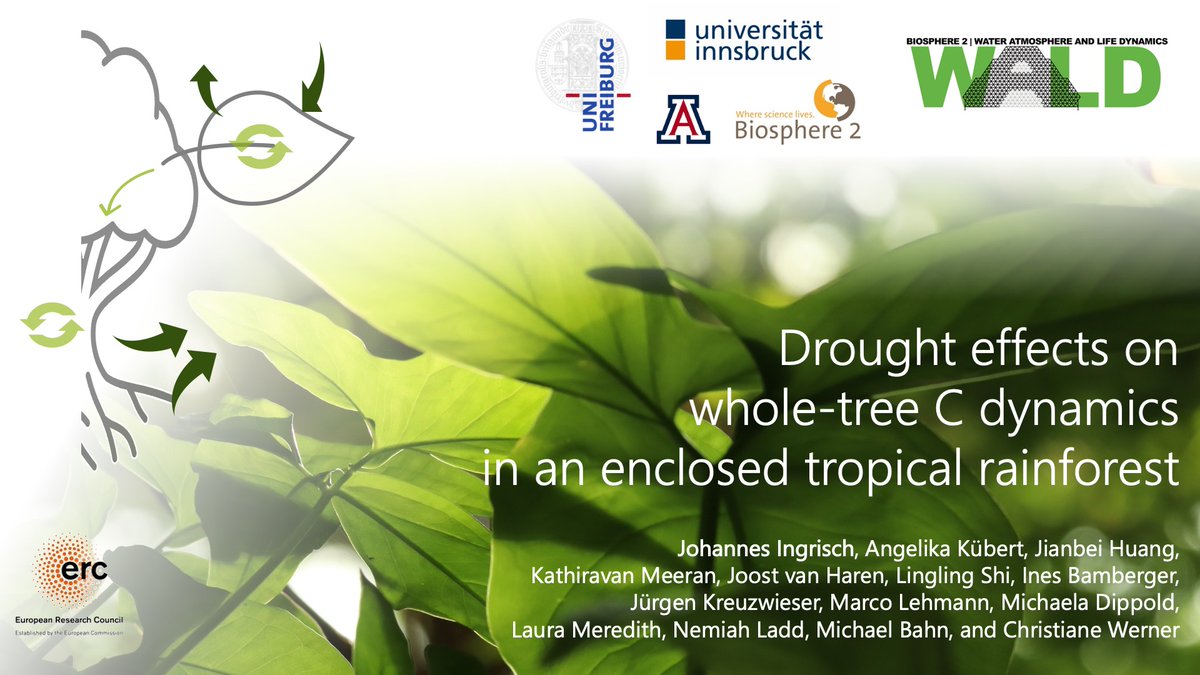 On my way to #egu22. Looking forward to present results on tree drought responses. Meet me in the carbon allocation session (Wednesday, BG3.6) or anytime around. #B2wald