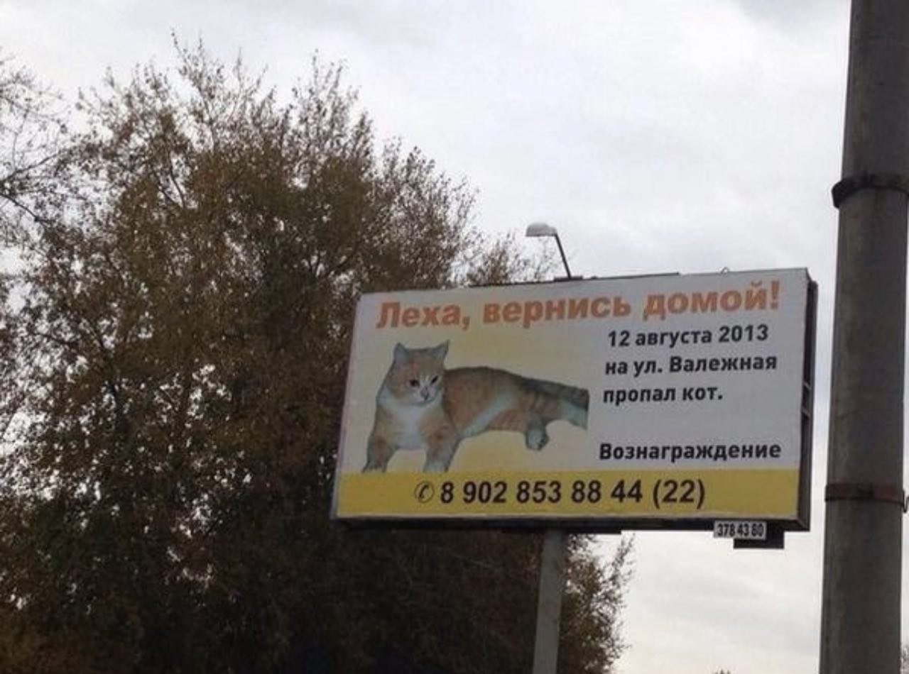 Смешные шутки про Лёху
