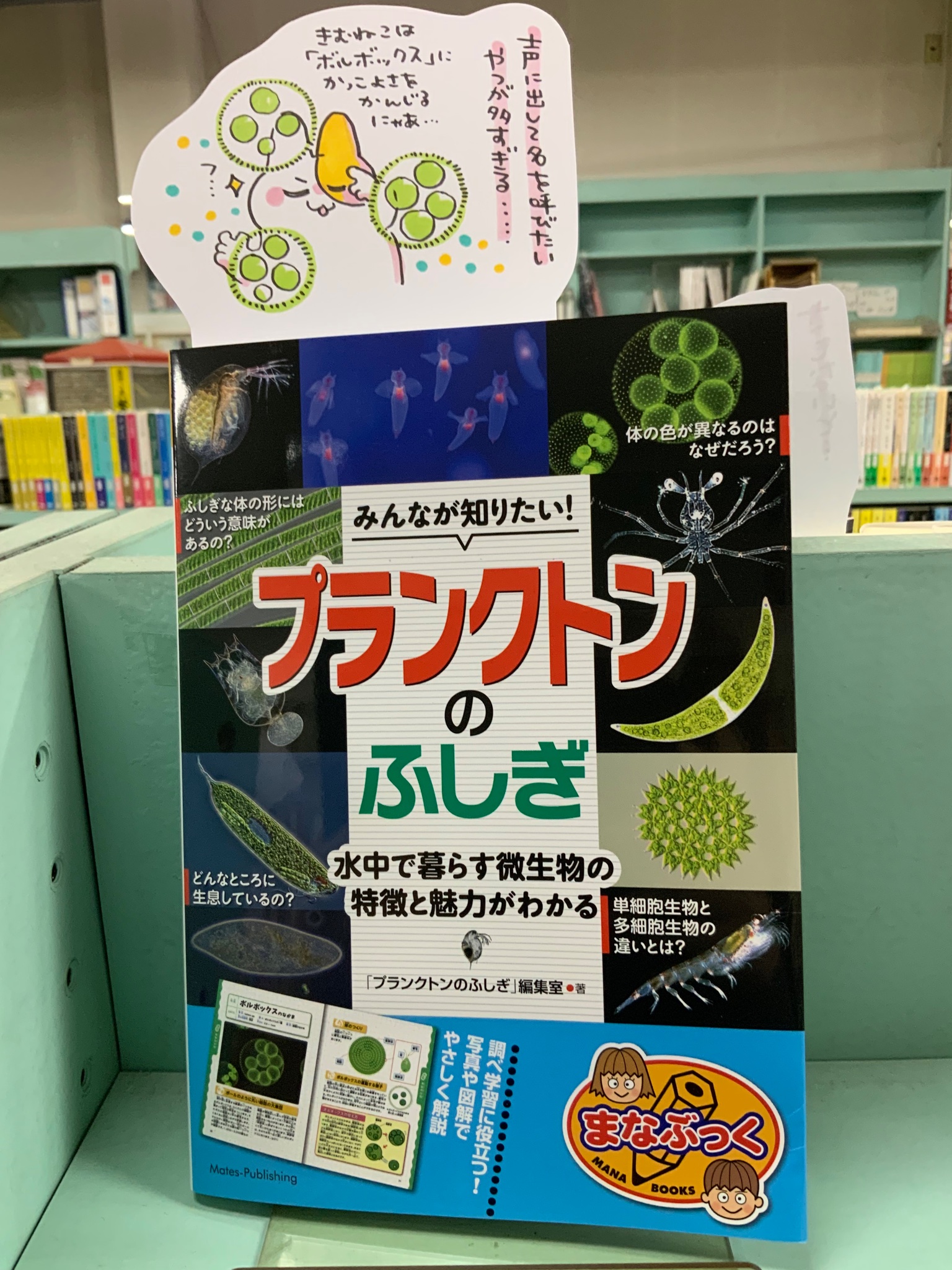 三渡 治 Miwaosa Twitter