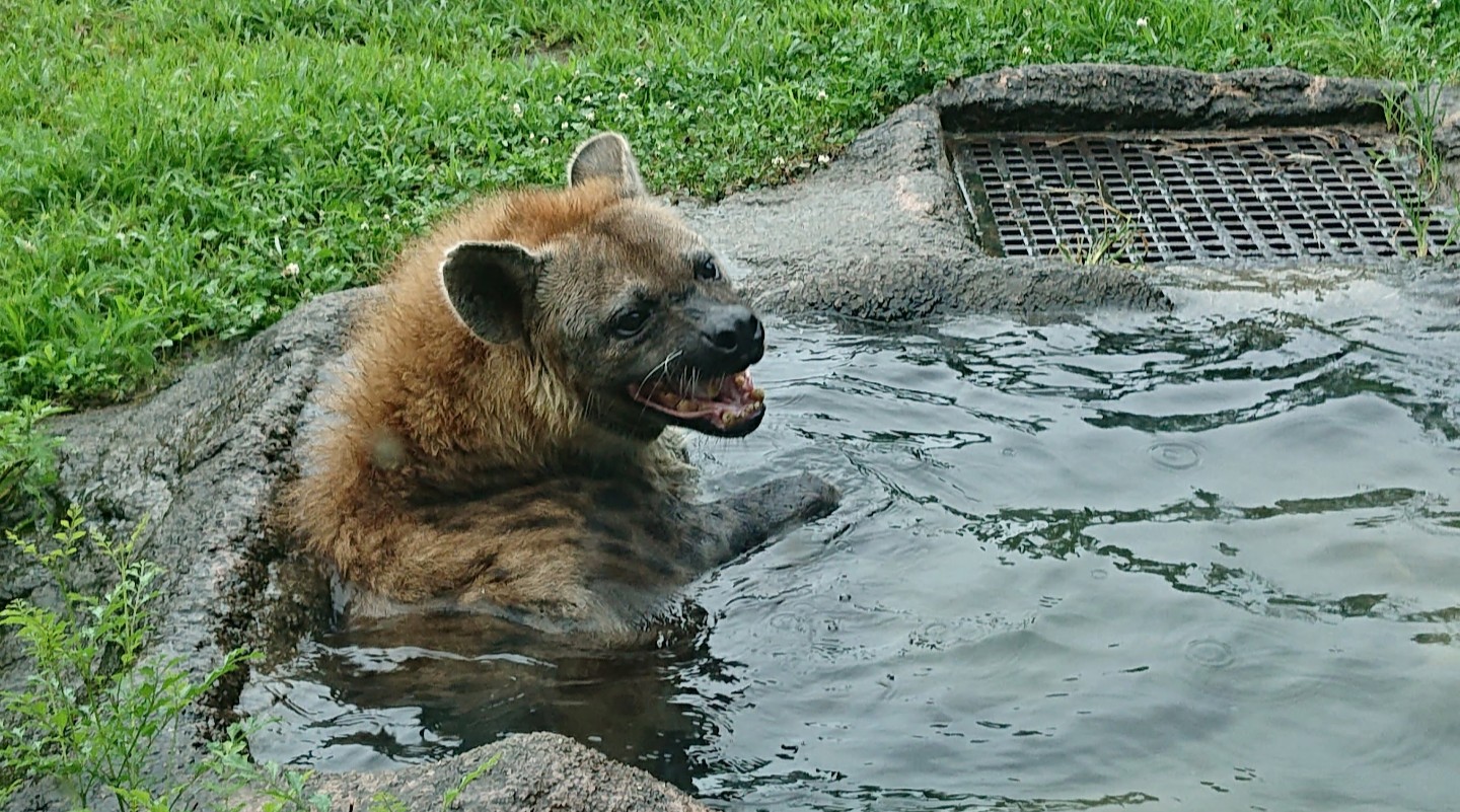 さゆゆページ さゆ❤️❤️ (@dai5_red) / X