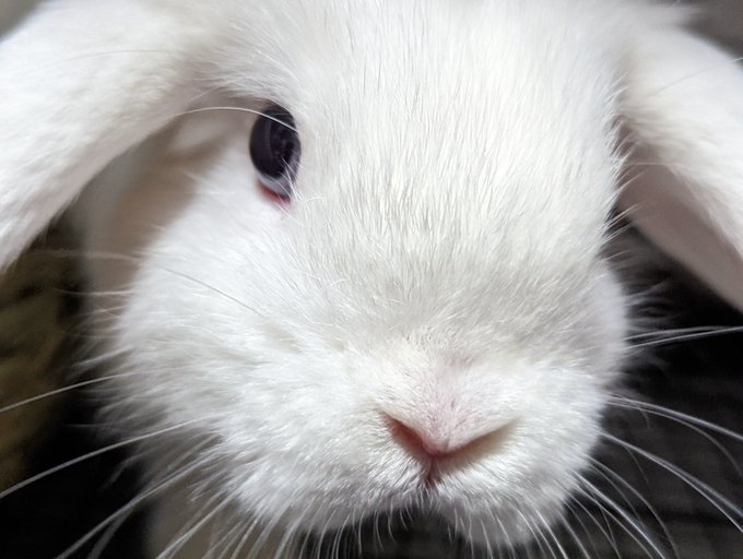 Hebi Mochiさんのイラストまとめ