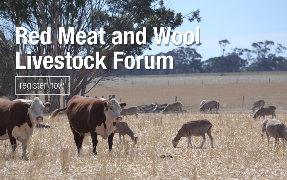 SA_PIRSA's tweet photo. #LivestockForums are coming to #Snowtown #Orroroo &amp; #Wudinna in June. Learn how to ‘nail the 1 percenters’ to increase productivity &amp; profitability in your livestock enterprise 🐑.

Register 👉 https://t.co/o5hKGNV7qP

@SheepConnectSA @Livestock_SA @WoolProducers
#RedMeatAndWool https://t.co/D2roIQ7eTu