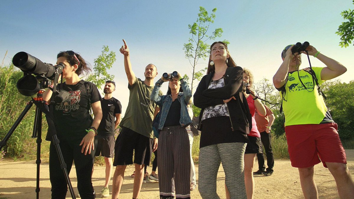 Notícia: Èxit de públic en la #VisitaOrnitològica #DeltaTordera en l’inici <a href="/SetmanaNatura/">Setmana de la Natura</a> 2022 a <a href="/Blanes_cat/">Ajuntament de Blanes</a> La següent acció serà el 4 de juny, amb un Taller Familiar Gratuït sobre Tortugues Marines a la platja, precedit per una xerrada @BiblioBlanes 

blanes.cat/docweb/2022-05…