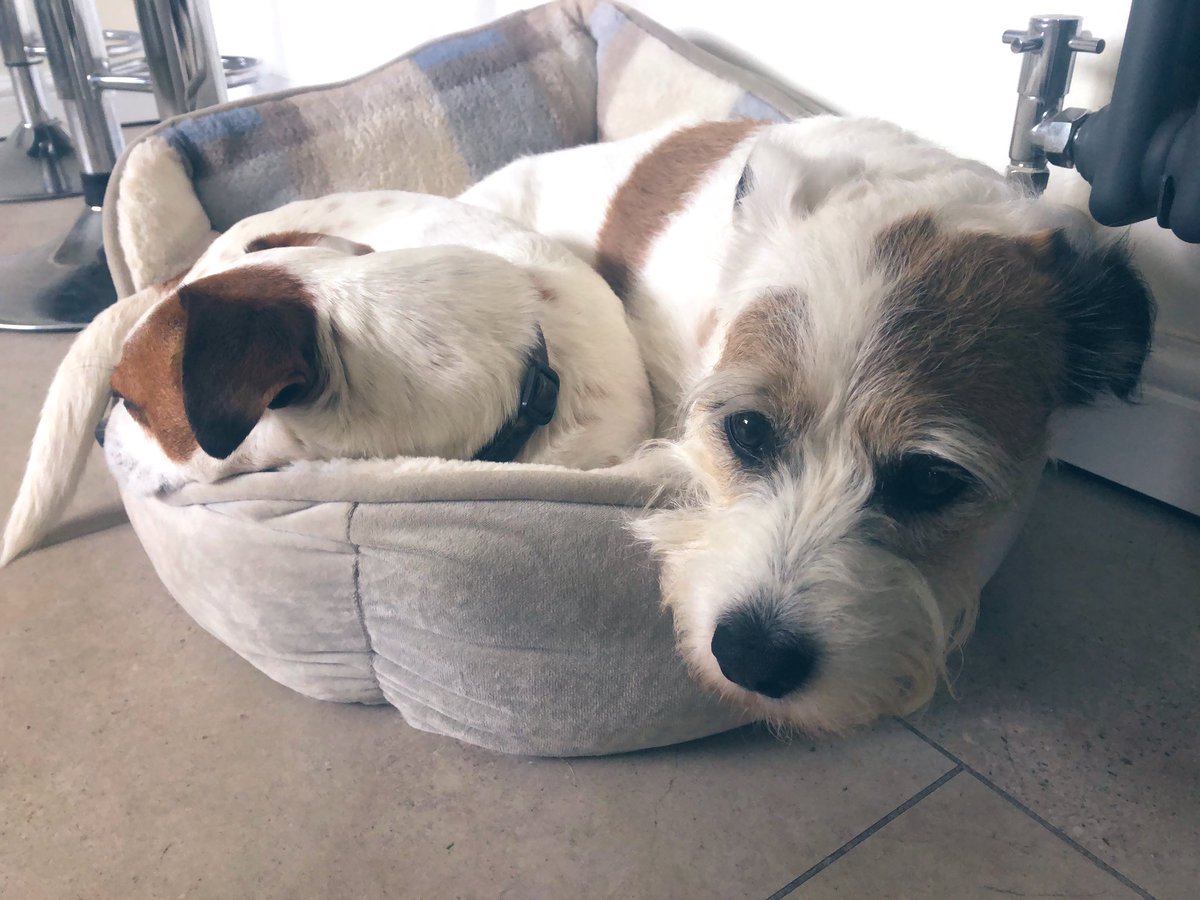 Don’t remember inviting him in 🙄