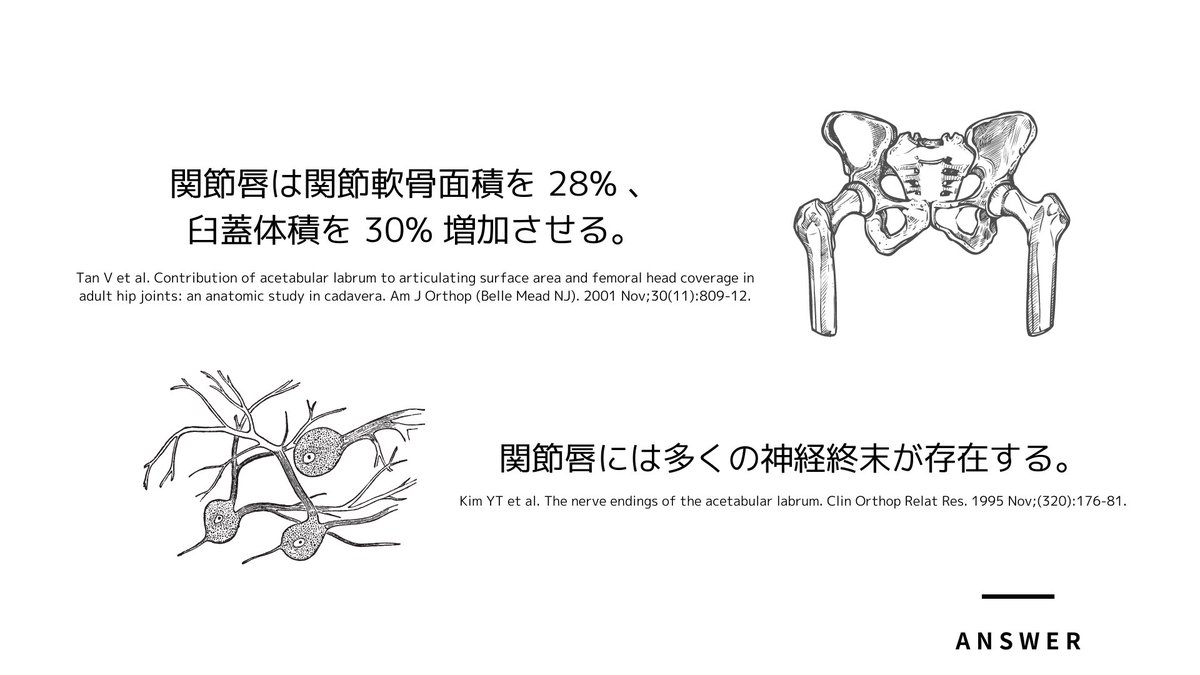 TakumiRodrigues's tweet photo. 痛覚、深部感覚、MRI、各種special test（FADIR、FABER、log roll test etc..）の結果を包括的に捉える必要があります⇓ https://t.co/IbdNTkv0OA