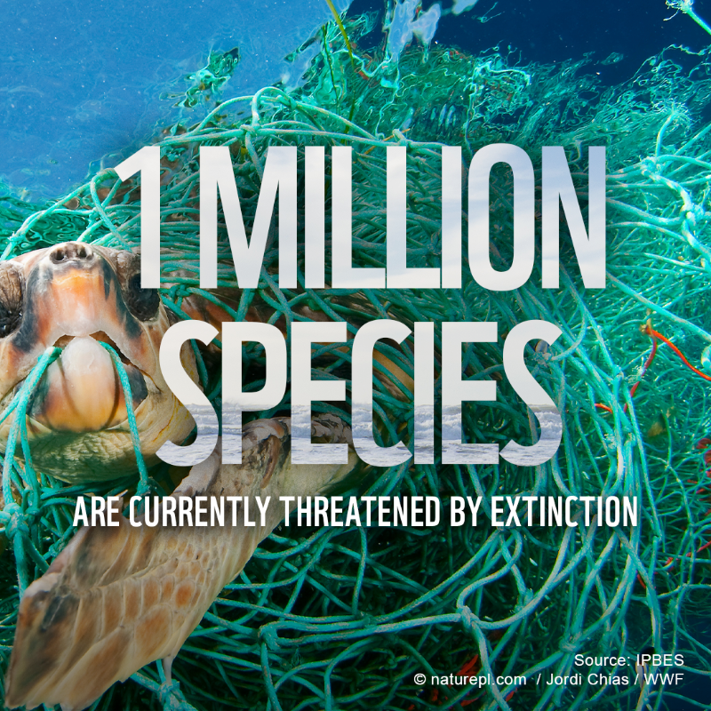 WWF's tweet photo. 🌿All of us rely on nature to thrive.

But our relationship with nature is broken. If we work together, we can prevent &amp; reverse the damage to our planet 🌎

RT to call on world leaders to urgently put #nature protection at the heart 💚 of what they do 🤝 

#NaturePositive #WEF22