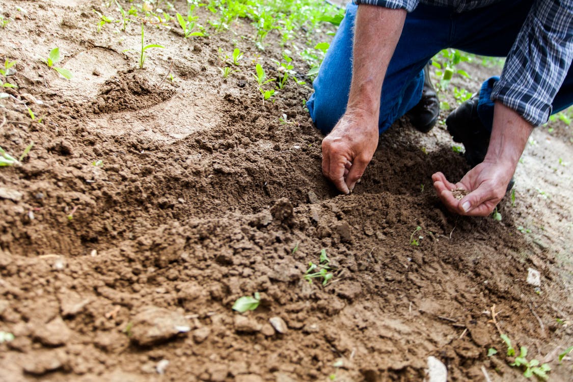 Looking for the best grounds maintenance service for your local authority or estate?

Visitor registration is free!

Register now: d36.co/14YMf

#SAGE2022 #maintenanceservices