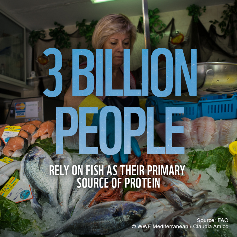 WWF's tweet photo. 🌿All of us rely on nature to thrive.

But our relationship with nature is broken. If we work together, we can prevent &amp; reverse the damage to our planet 🌎

RT to call on world leaders to urgently put #nature protection at the heart 💚 of what they do 🤝 

#NaturePositive #WEF22