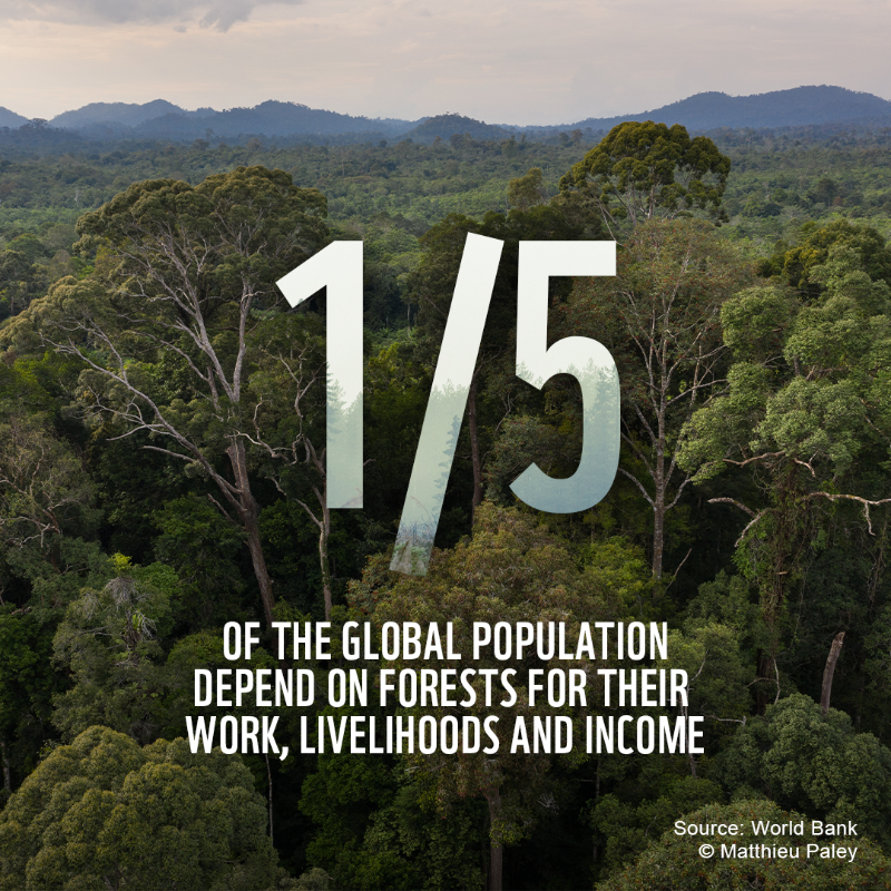 WWF's tweet photo. 🌿All of us rely on nature to thrive.

But our relationship with nature is broken. If we work together, we can prevent &amp; reverse the damage to our planet 🌎

RT to call on world leaders to urgently put #nature protection at the heart 💚 of what they do 🤝 

#NaturePositive #WEF22
