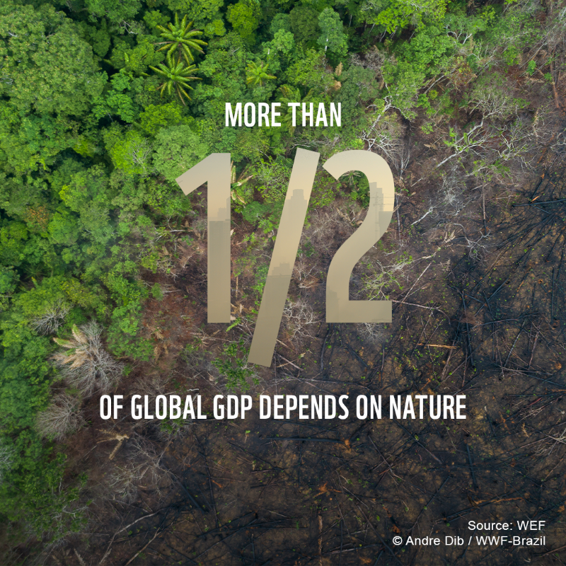 WWF's tweet photo. 🌿All of us rely on nature to thrive.

But our relationship with nature is broken. If we work together, we can prevent &amp; reverse the damage to our planet 🌎

RT to call on world leaders to urgently put #nature protection at the heart 💚 of what they do 🤝 

#NaturePositive #WEF22
