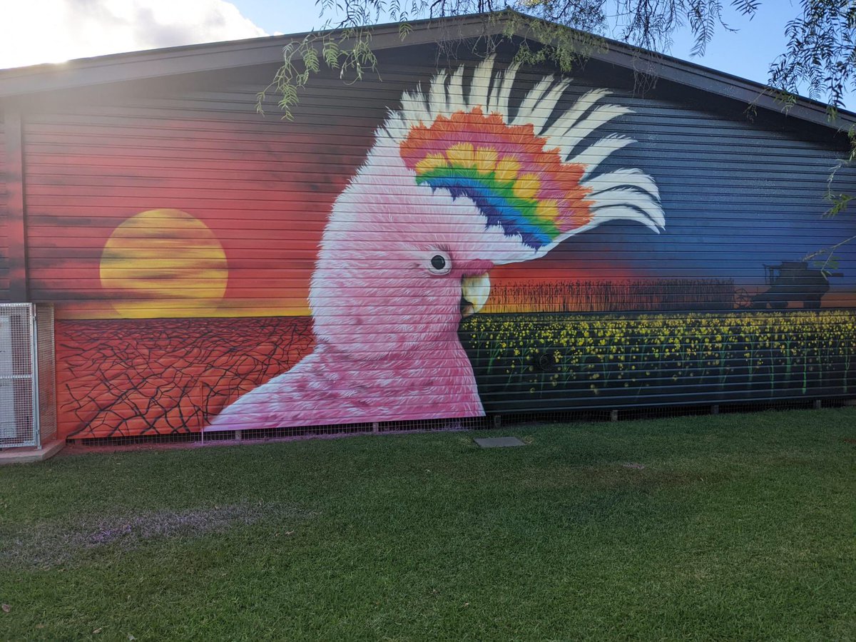 Mr_Laing's tweet photo. So happy to share our new mural at Barellan Central School. This welcomes all facing the entrance to the school. https://t.co/kQZzDCuQIX