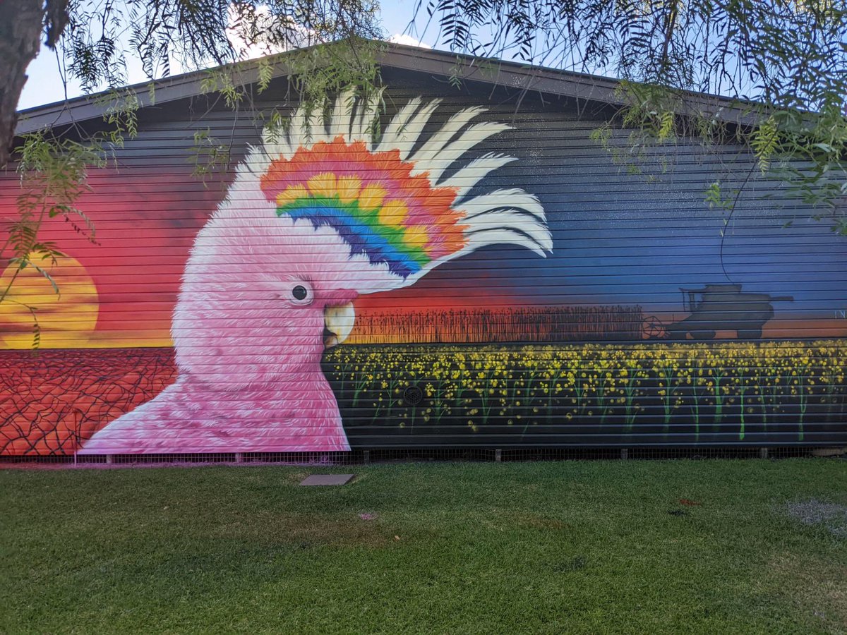 Mr_Laing's tweet photo. So happy to share our new mural at Barellan Central School. This welcomes all facing the entrance to the school. https://t.co/kQZzDCuQIX