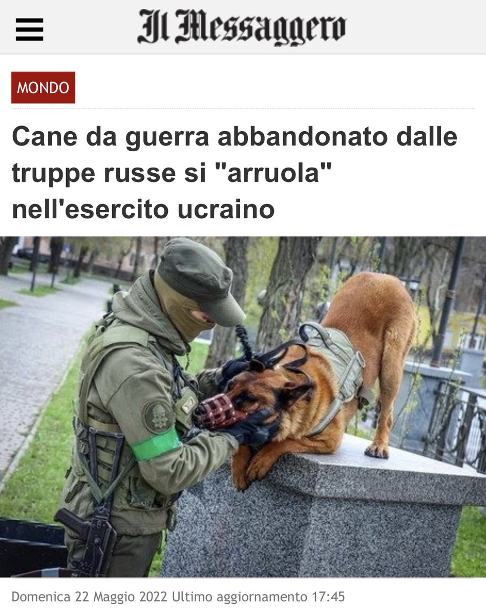 Amarizona17's tweet photo. Il livello dei media italiani è grottesco 🙄 https://t.co/WCt8p9NNhr