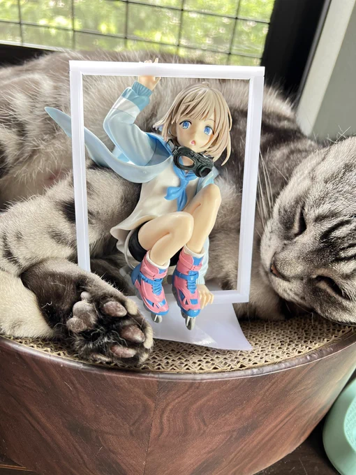 あさひが来た☺️ 