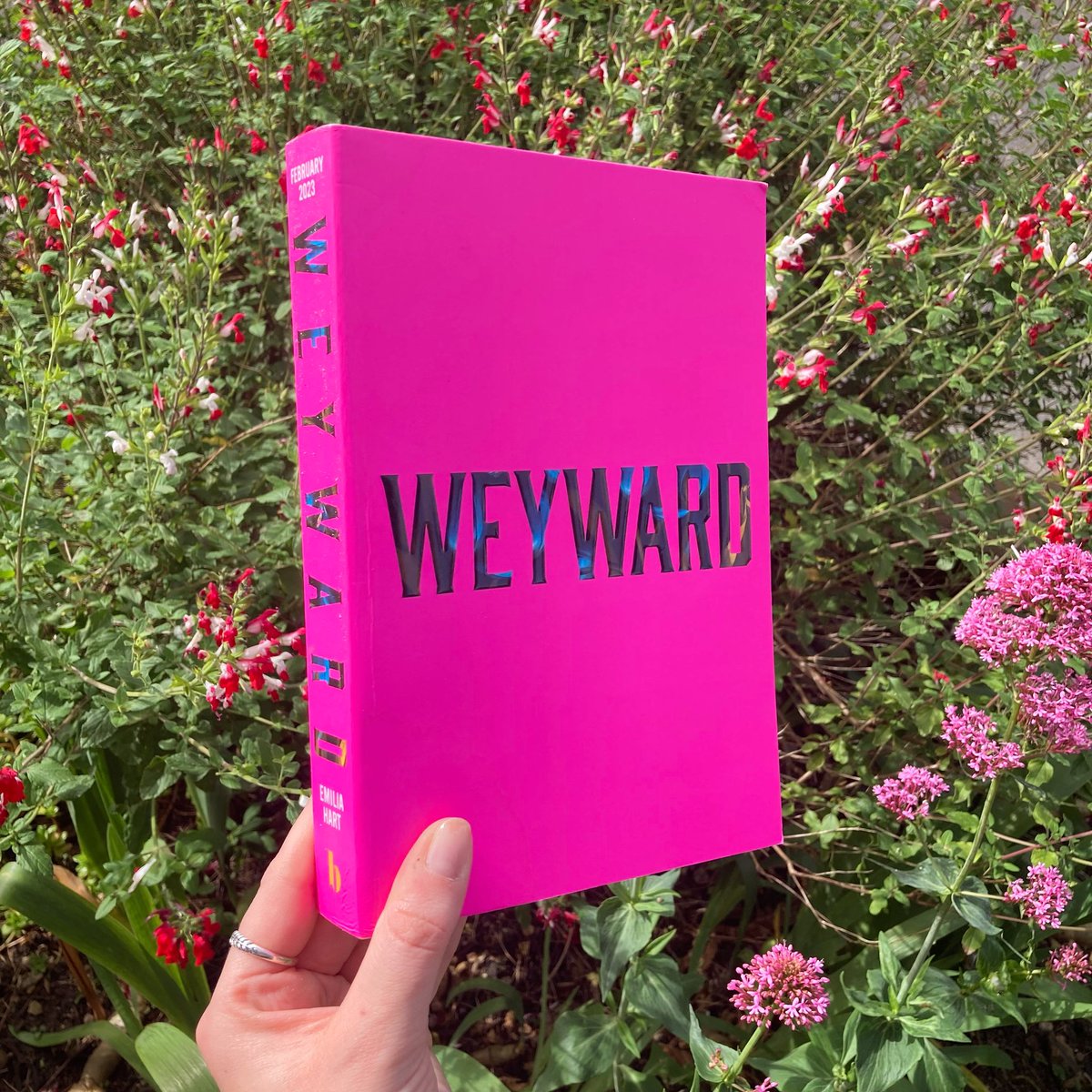 ‘There was something about us – the Weyward women – that bonded us more tightly with the natural world.’ #Weyward proofs have landed and they are STUNNING 😍 Fans of Bridget Collins won’t want to miss this phenomenal debut, coming February 2023 🔥 instagram.com/p/Cd3f2n_AHKD/