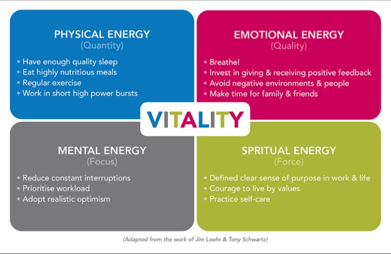 DiscoverToGo's tweet photo. VITALITY
Source: Jim Loehr & Tony Schwarz
#vitality #disc #discoverprofiles #discreporting #behaviour #behavior #discstyles #discprofiling https://t.co/MWgwCPicpC