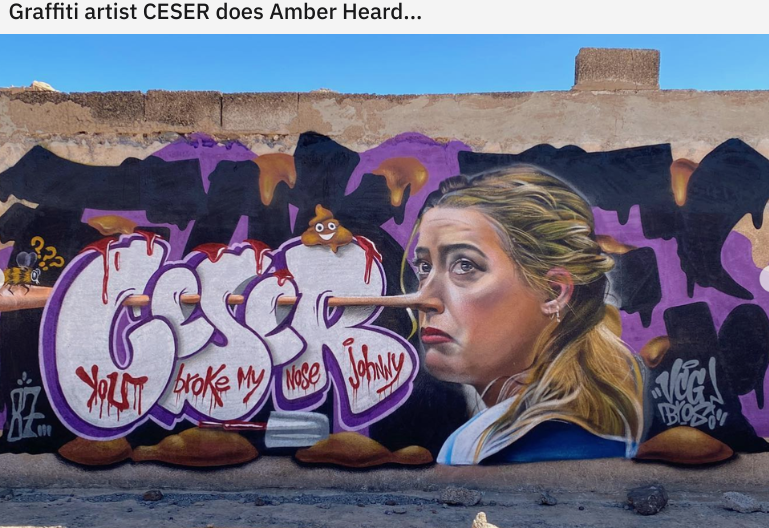 PrinConsuella__'s tweet photo. The sad thing is that Amber Heard asked for this. https://t.co/h1YCfkJVKm