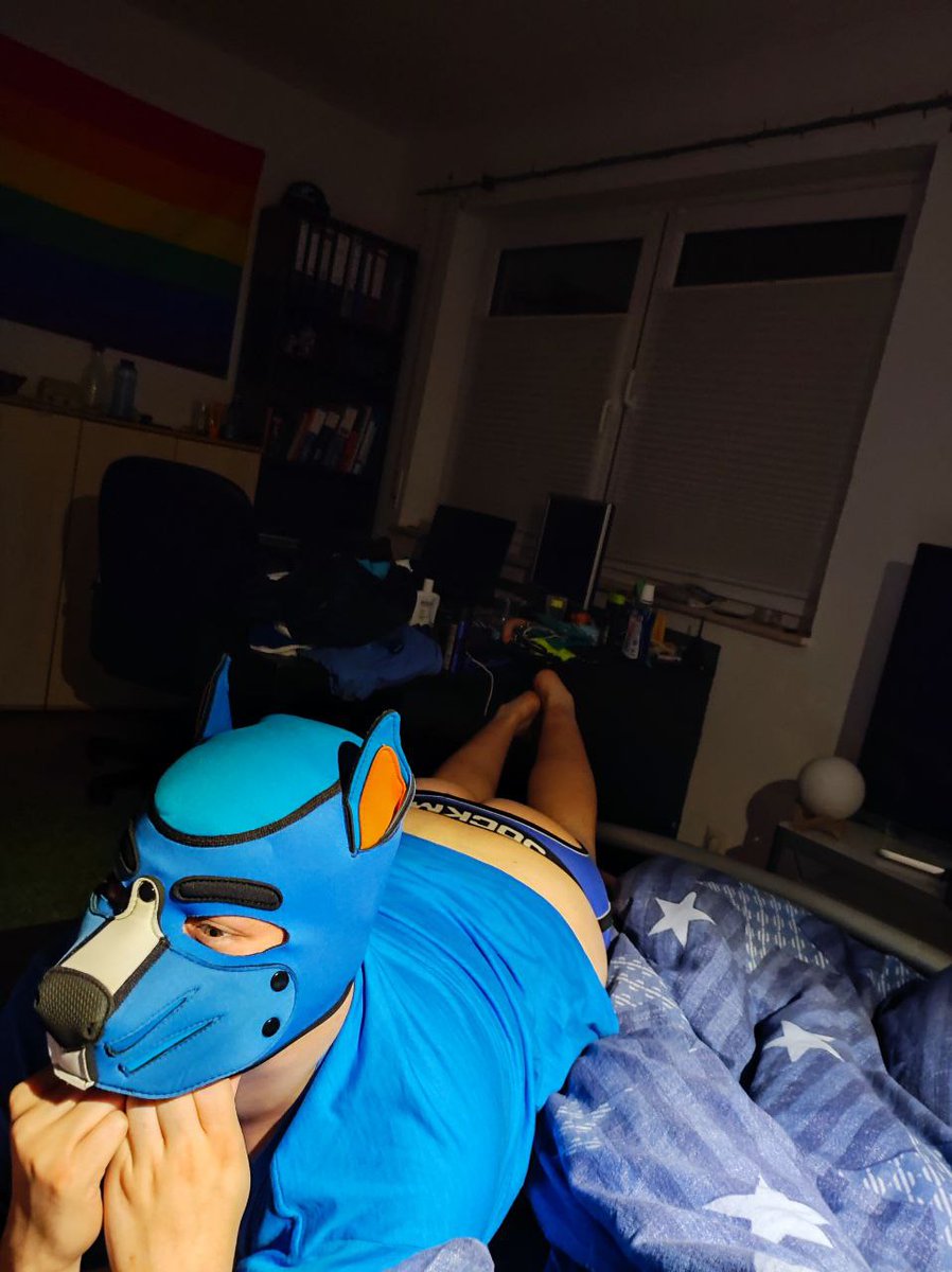 Jasu06101390's tweet photo. Hwwoo watch My new jock its so pawsome to wear it ❤️🦴🐶 #lovejock #petplay https://t.co/jwXysp3fy6