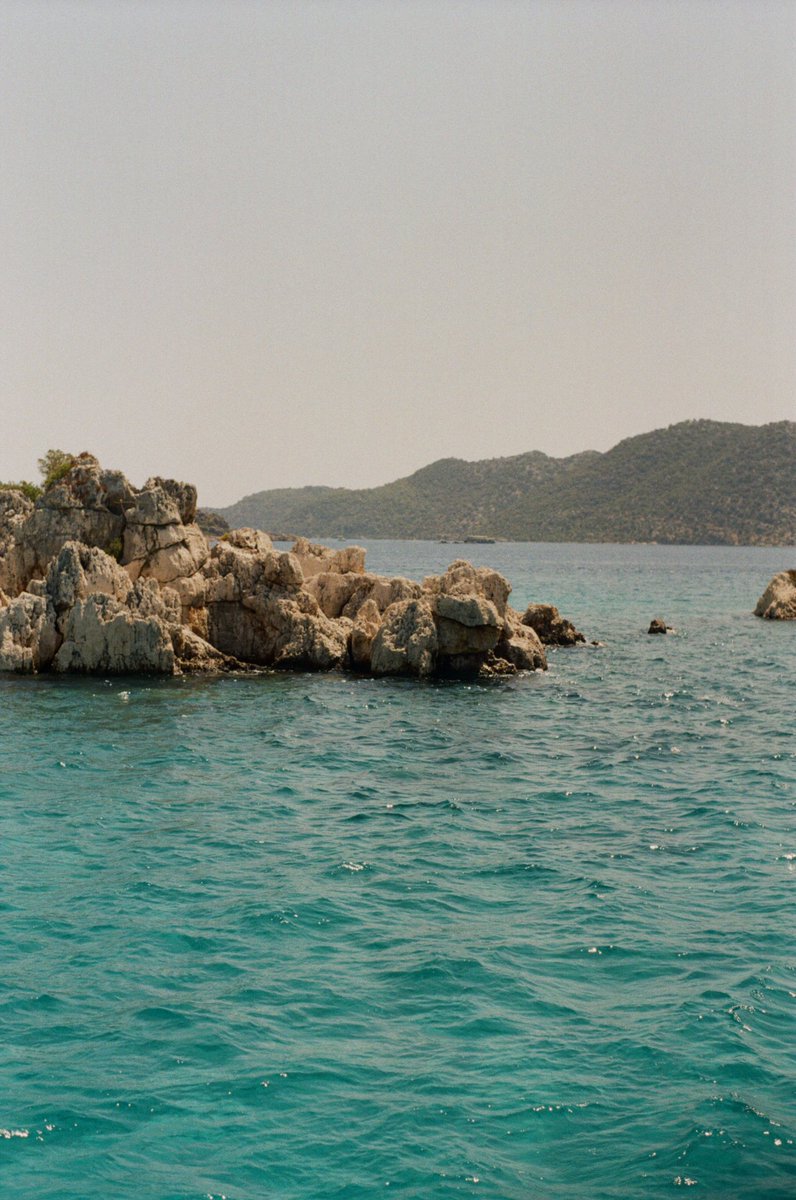 amidriel.film tweet media