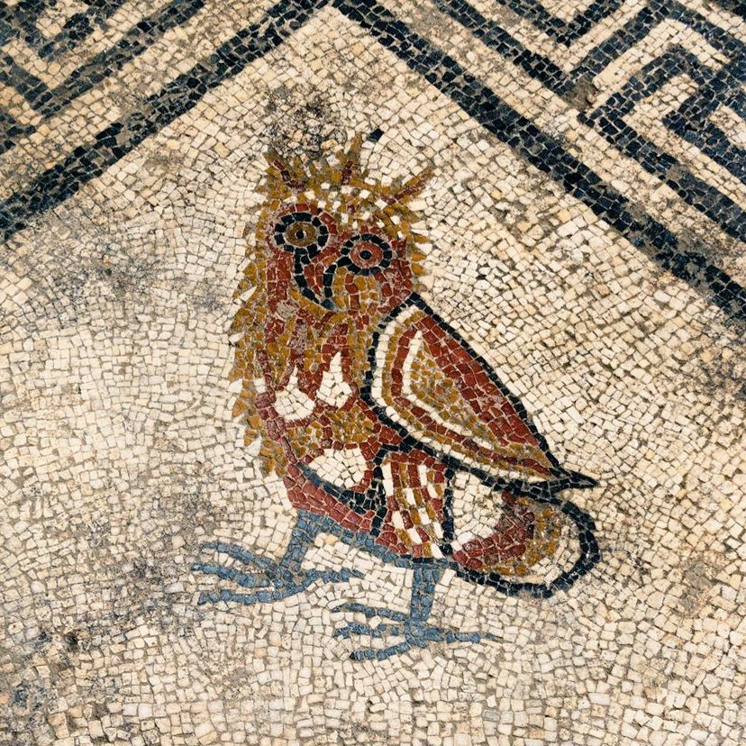 DrNWillburger's tweet image. For #MosaicMonday a somewhat whimsical #owl, depicting on a #Roman mosaic found in Uzèz southern France, dating second half of the 1st century BC.

Photo: Denis Gliksman, Inrap

#RomanArchaeology