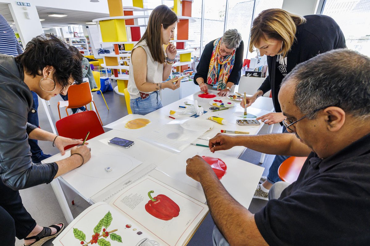 Département du Nord tweet media