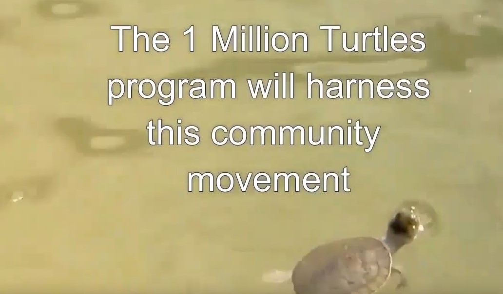 Did you know that <a href="/1millionturtles/">1MillionTurtles.com</a> harnesses #citizenscience to prevent the extinction of our native freshwater turtles? 

A #CitSciOz21 Speed Talk for #WorldTurtleDay 

HT <a href="/TurtleSAT/">TurtleSAT</a> <a href="/westernsydneyu/">Western Sydney University</a>  

youtu.be/3kTKhuqZFe0