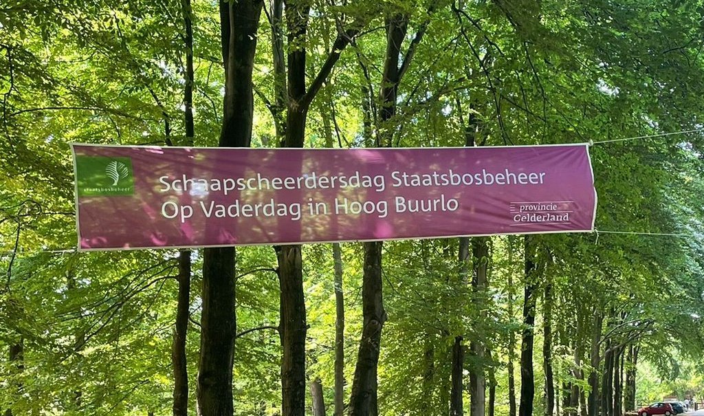 YES! Het kan weer. Op zondag 19 juni (vaderdag) organiseren we weer de schaapscheedersdag op Hoog Buurlo. Je ziet hoe onze schapen worden geschoren, er zijn vele activiteiten voor jong en oud en een gezellige veluwse markt.