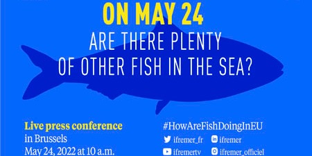 MarineInst's tweet photo. πJoin @Ifremer_fr tomorrow, at their @Europe2022FR press conference.
We will be represented by David Reid @MarineInst along with scientists from @agrocampusouest and @ILVOvlaanderen
π
Tuesday, 24 May, @ 9am (Irish Time)
#HowAreFishDoingInEU? #OceansOfLearning https://t.co/yCY06KrUTV