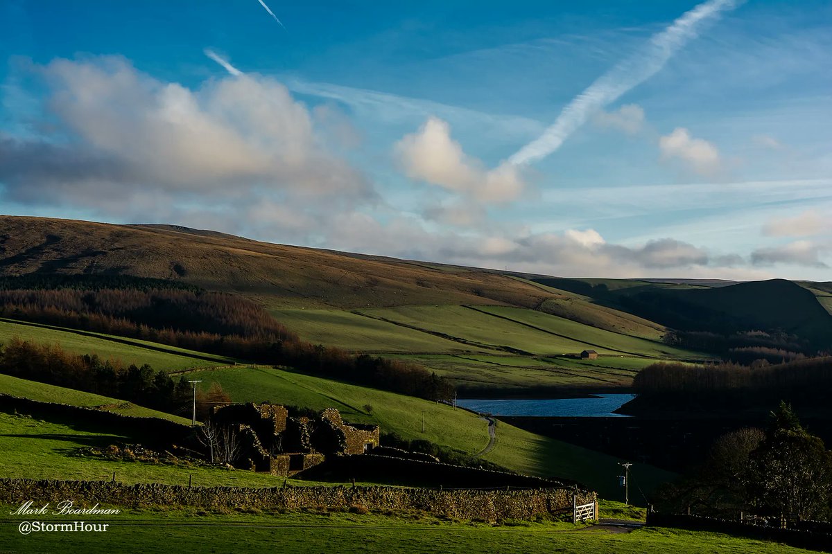 #StormHour tweet media