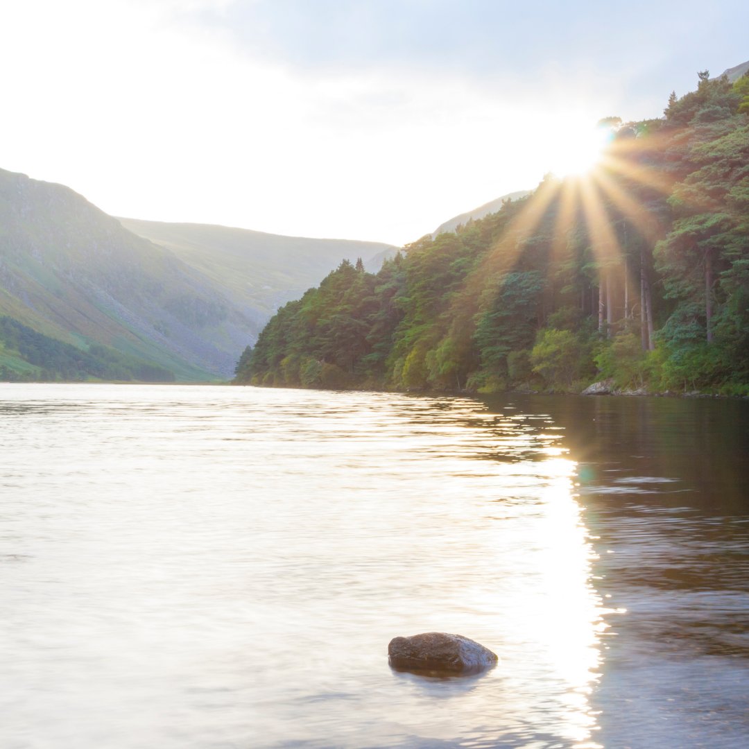 “A traveler without observation is a bird without wings.”
– Moslih Eddin Saadi

Early morning at the Upper Lake, Glendalough 

Captured by Aitormmfoto 

#wildroverdaytours #wicklow #wicklowmountains #glendalough #ireland #travel