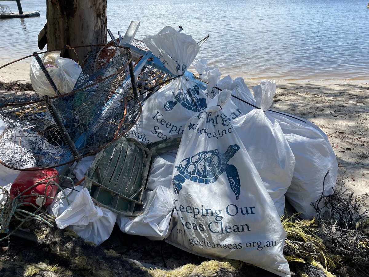 Coolphase4's tweet photo. Happy #WorldTurtleDay!
Here at Coolphase, we love our turtles, especially the locals!
Last year, we worked with @ecobargecleanseas out at #SouthStradbrokeIsland, collecting rubbish to clean up #ourbackyard and help our underwater mates! 
Donate to Eco Barge today!
#livethechill https://t.co/fT22Z1fXpP