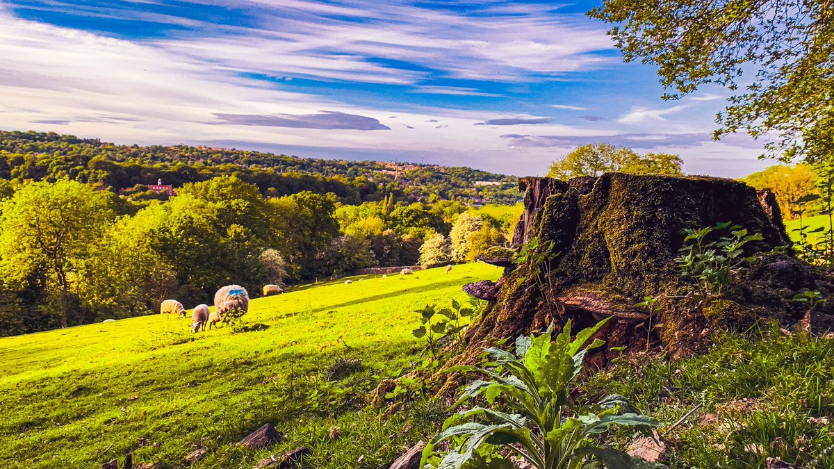 DementiaAdv's tweet photo. Research shows that meaningful outdoor activity and connection with nature have significant health and wellbeing benefits for all of us, but especially for people with #dementia.

Ever wondered why? Read more...
https://t.co/ktOAxU7bIS https://t.co/kjXSajIa3Y