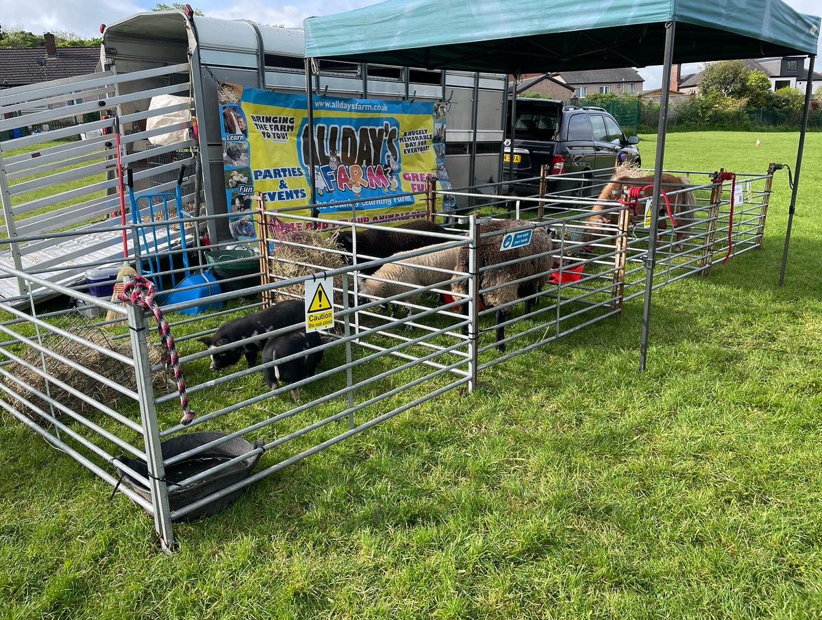 Allday's Farm tweet media