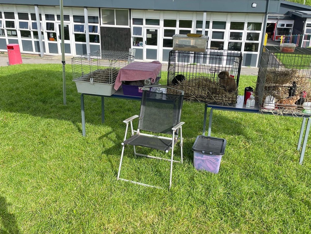 Allday's Farm tweet media