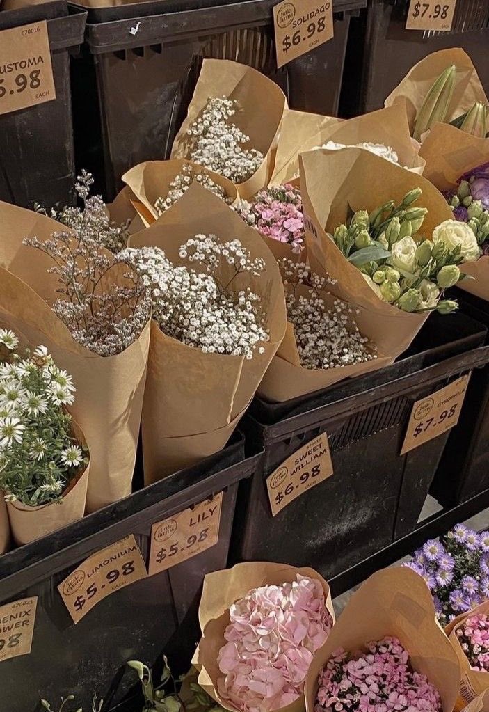 𝒐𝒍𝒊𝒗𝒊𝒂 tweet media