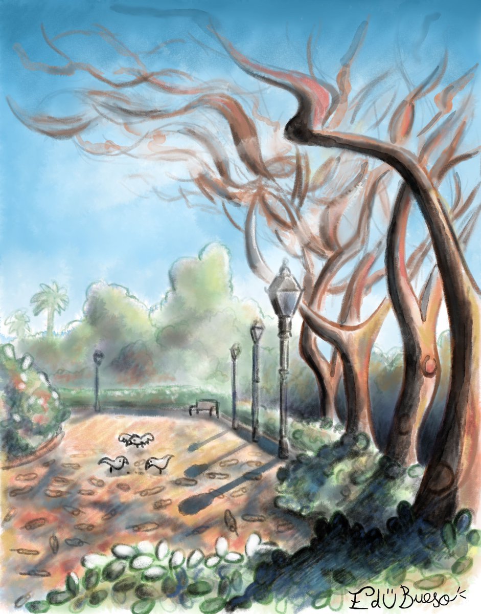 edu_bueso's tweet photo. Parque de Villardilla. #art #artistontwitter #background #backgrounds #park #birds #trees https://t.co/0AZNAMrI4O
