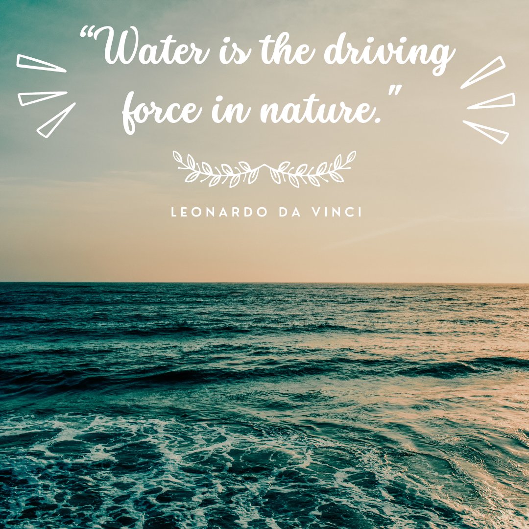 TheSaltyHands's tweet photo. #OceanQuote #thursdayvibes https://t.co/GgOwwd904r