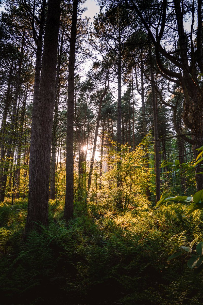JoeThompsett's tweet photo. Good morning, hope you had a great weekend!

#landscapephotography https://t.co/T7teTnq2vh