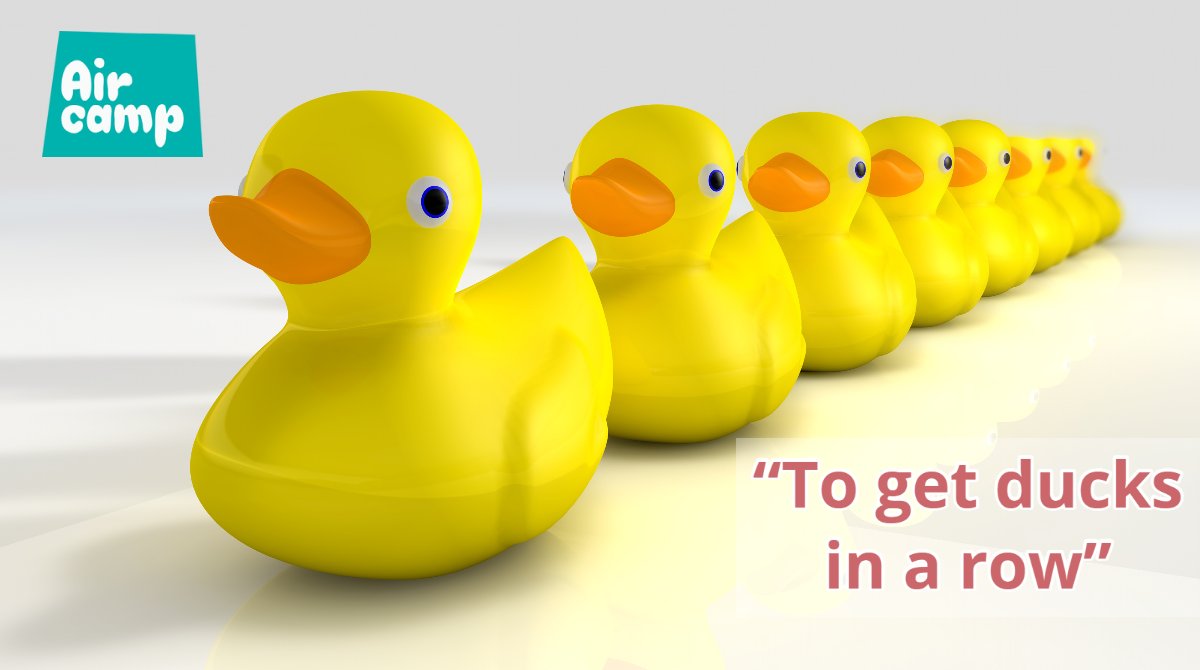 AirCamp_Int's tweet photo. "To get ducks in a row" means that you are really organised: "we need to get ducks in a row if we want to succeed in this project" #idiomoftheweek #tuesday #tuesdaymotivations #tuesdayvibe https://t.co/rAcN3jYoUg