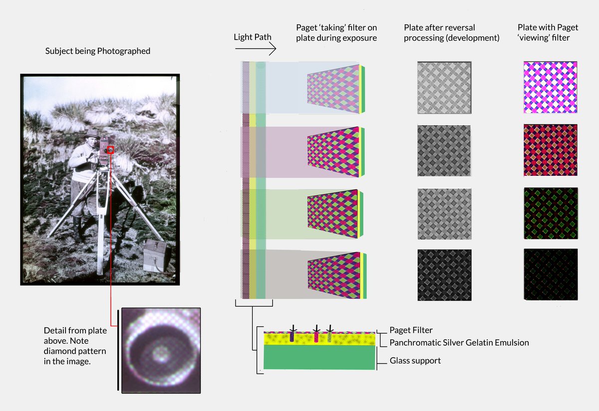 Kinofrau1's tweet photo. With my colleagues @Geoffmuse + @sahulrarma, we're striving to make research results presented in #PhotoResearcher abt #FrankHurley & #ColorPaget freely available on wiki ๐ฅ๐ค
Here is Rahul's illustration of the #ColorPaget process, now on wiki commons๐๐ฝ
https://t.co/Zp0jS5Z2hu https://t.co/KTWqXiAGfq