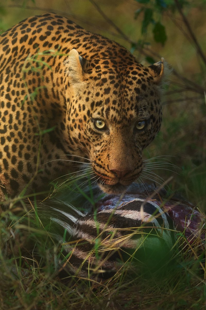 SubodhShetty tweet media