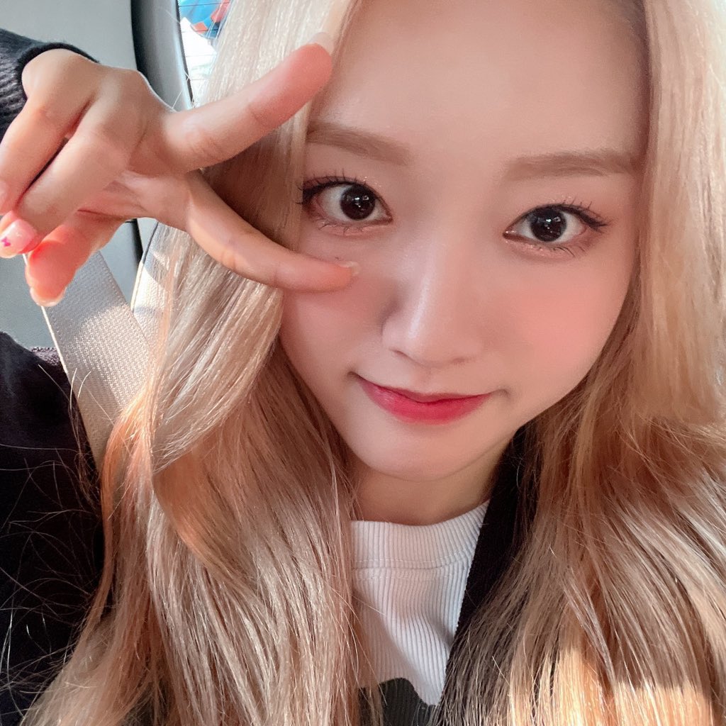 filesgowon's tweet photo. no one is cuter than park gowon https://t.co/532wX35lvu