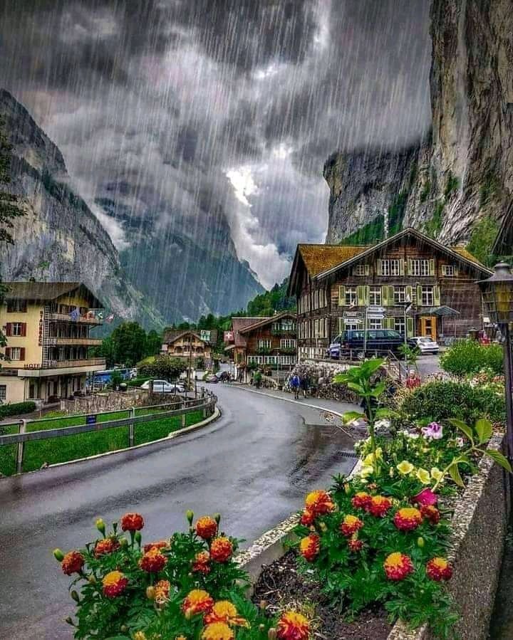 David88_01's tweet photo. #rain #RainyDay #Monday #photo #photography #photographer #Naturals #NewWeek #HappyDay https://t.co/5FLooU4iHp